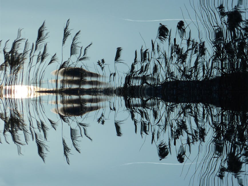 Operador de Estação de Tratamento de Águas E Efluentes